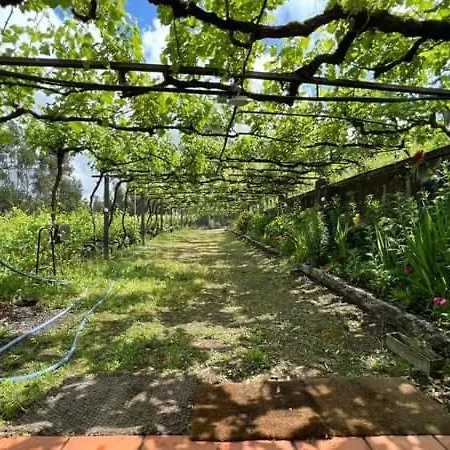 Quinta Do Grande Herdeiro * Baltar